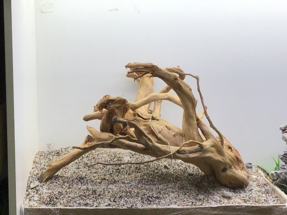 Аквариум с корягой и камнями