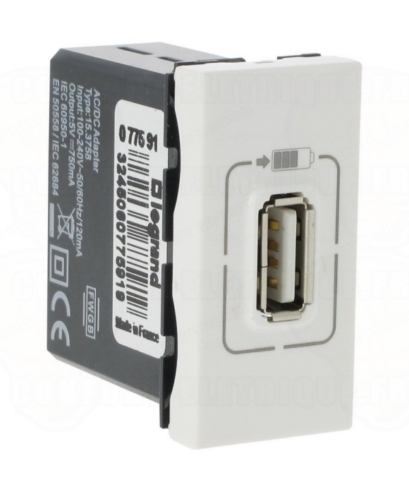 Розетка комбинированная с USB Legrand Mosaic
