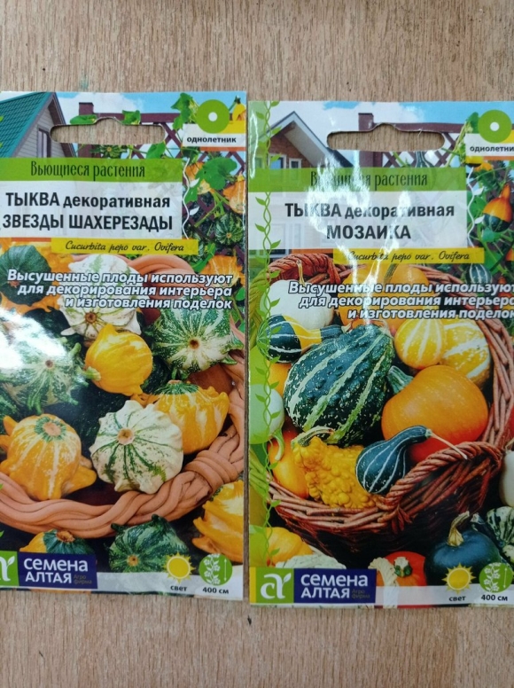 Декоративная тыква Шахерезада звезда
