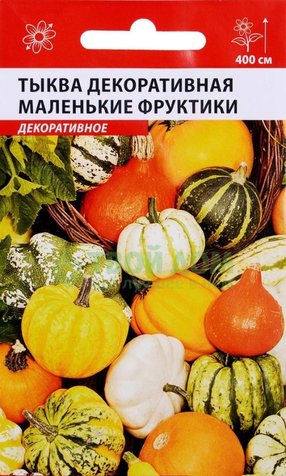 Тыква декоративная Шахрезада звезды
