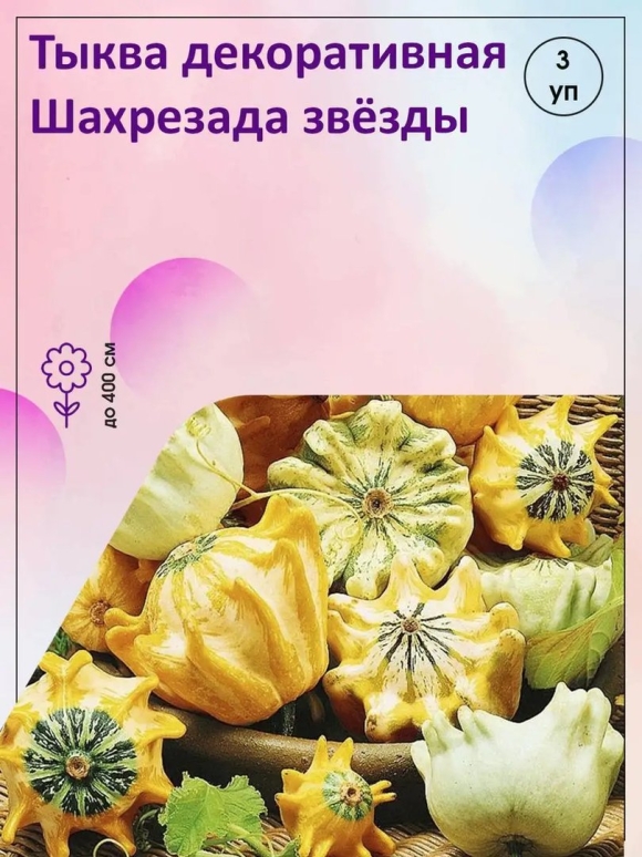 Тыква декоративная Шахрезада звезды