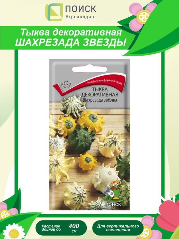 Тыква декоративная Шахрезада звезды поиск