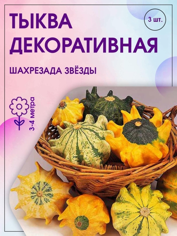 Тыква декоративная Шахрезада звезды