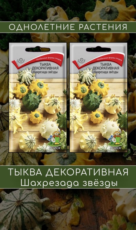 Декоративная тыква Шахерезада