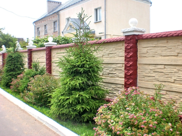 Кустарники вдоль забора