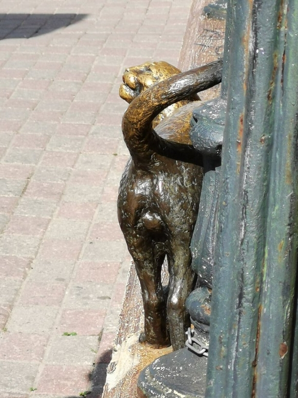 Скульптура кошки в Ярославле