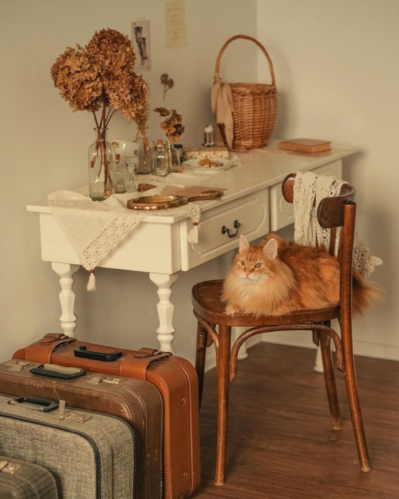 Cottage Core aesthetic комната