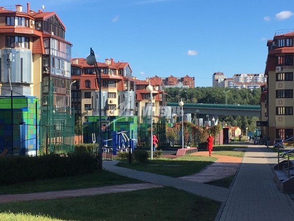 Ромашково Одинцовский район