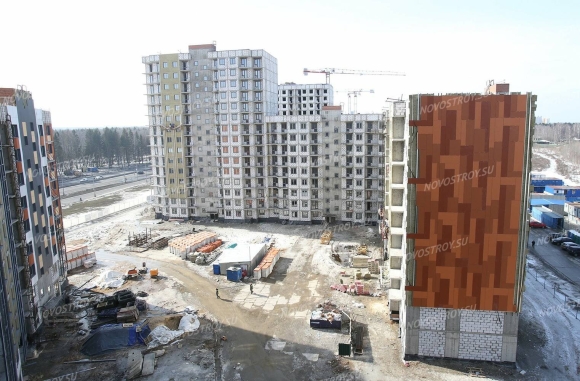 Метро Ватутинки ЖК кленовые аллеи