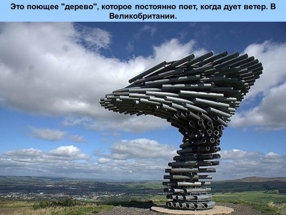 Скульптура Поющее дерево Великобритания