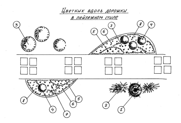 Схема посадки многолетников вдоль дорожки