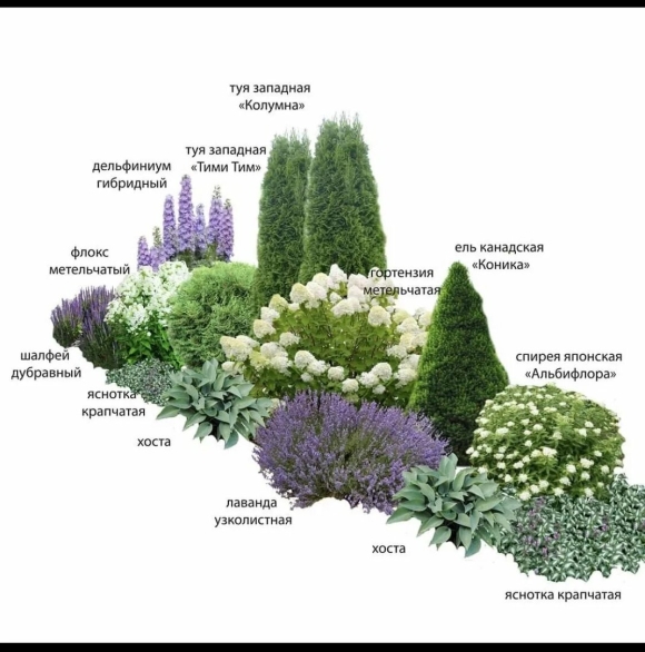 Миксбордеры из многолетников и хвойных
