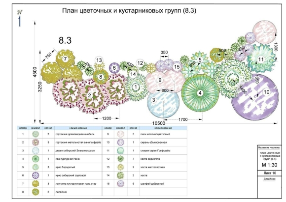 Миксбордер непрерывного цветения схемы и описание