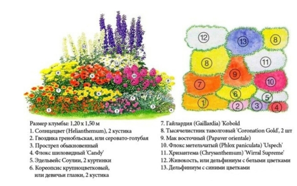 Клумбы миксбордеры непрерывного цветения
