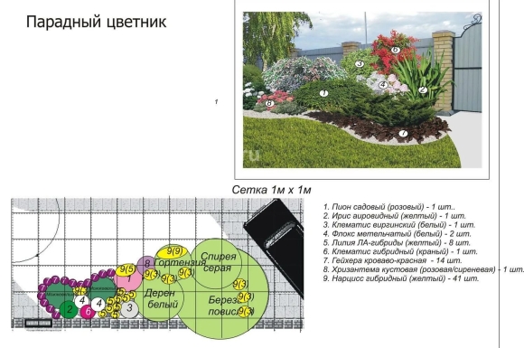 Схема посадки многолетников вдоль забора