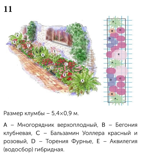 Схема рабатки из многолетников вдоль дорожки