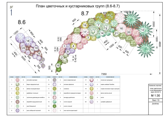 Миксбордер непрерывного цветения многолетников схема