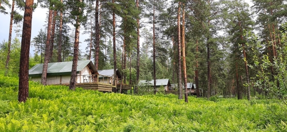 Чепош парк горный Алтай