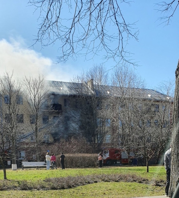 Пожар в Пушкино сейчас