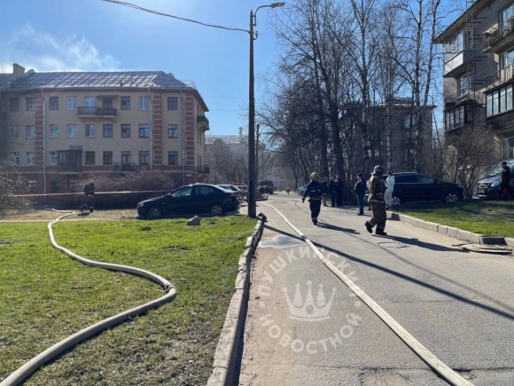 Пожар на Павловском шоссе Пушкин