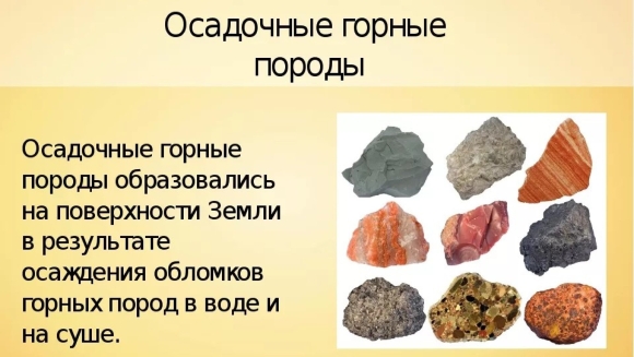 Из чего образуются осадочные горные породы