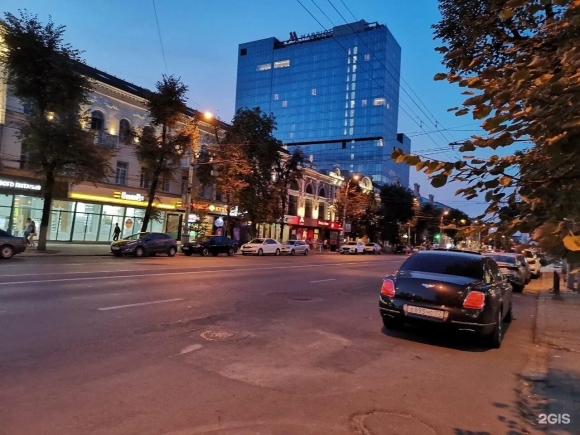 Проспект революции вороне