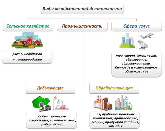 Основные виды хозяйственной деятельности