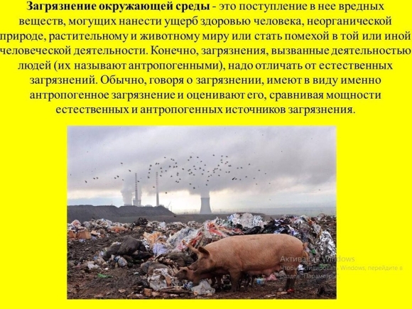 Влияние загрязнения на окружающую среду