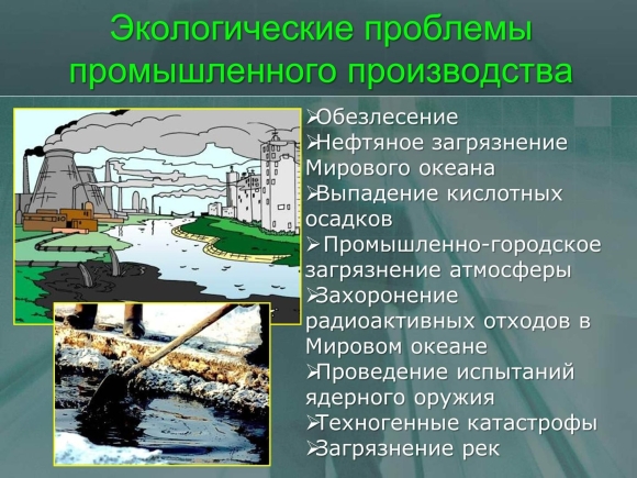 Экологические проблемы промышленного производства