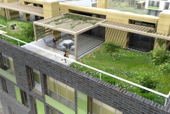 Эксплуатируемая плоская кровля Green Roof