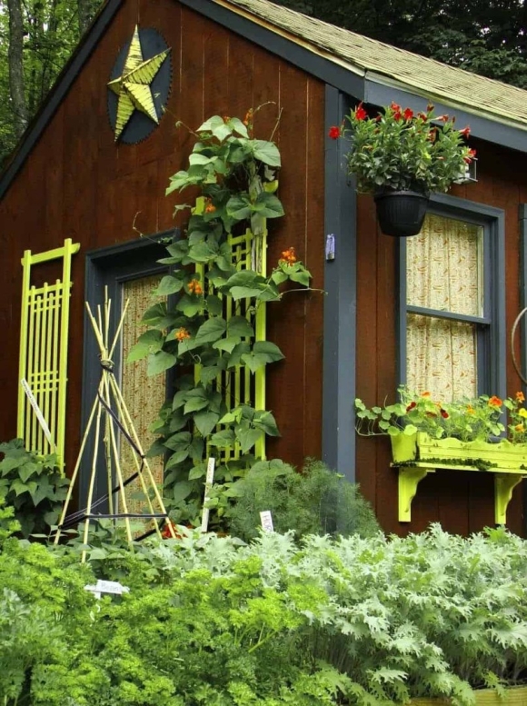 Садовый домик Shed Garden