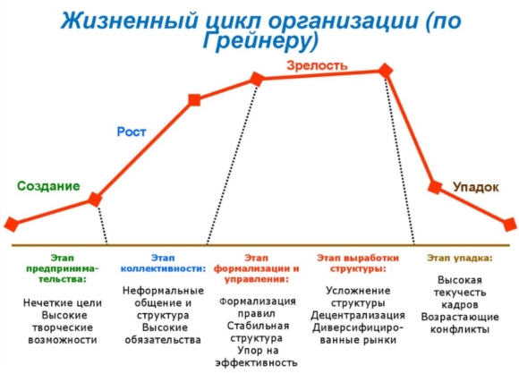 Жизненный цикл организации его стадии и этапы