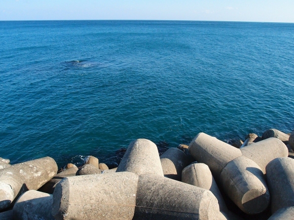 Волнорезы на черном море