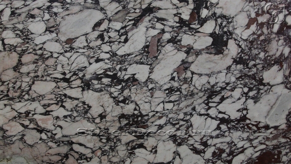 Calacatta Viola Marble