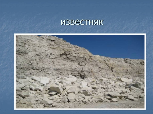 Известняк окружающий мир