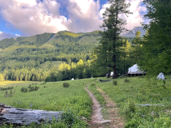 Лес и море Алтай официальный сайт
