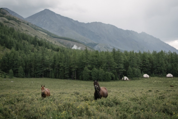Палаточный лагерь лес и море Алтай