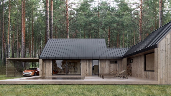 Барн хаусы Barn House с односкатной крышей