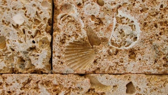 Крымский песчаник ракушечник