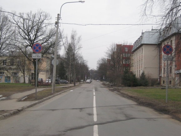 Царковская улица Пушкин