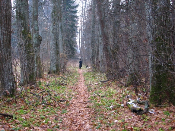 Парк усадьбы Половцовых