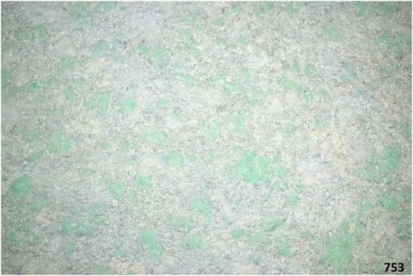 Silk Plaster Ecoline