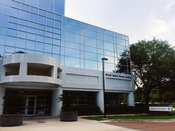 Mayo Clinic Florida