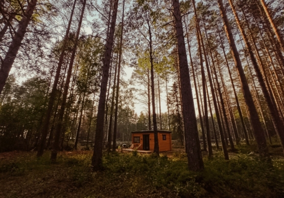 Нью Кэмп Карелия