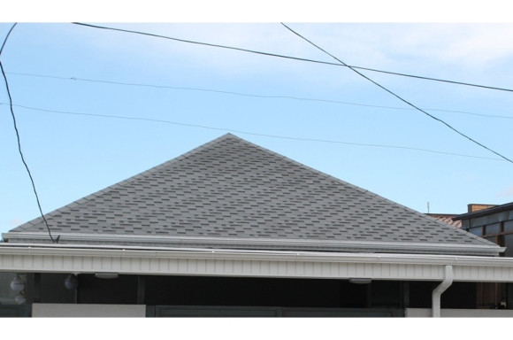 ROOFSHIELD премиум Модерн
