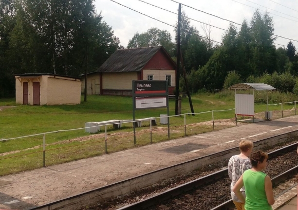 Поселок Цвылево