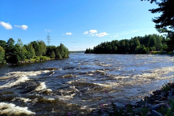 Река Тула Новосибирск