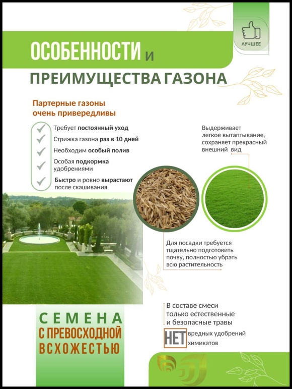 Травосмесь партерный газон