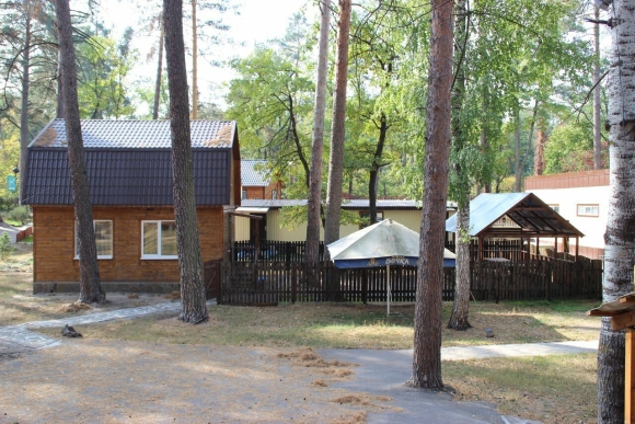 Жемчужина леса турбаза Ульяновск