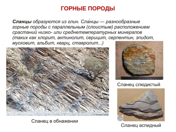 Осадочные горные породы образуются